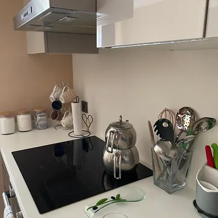 Sehrin Merkezinde Yepyeni Modern Dosenmis Daire Apartment Bursa